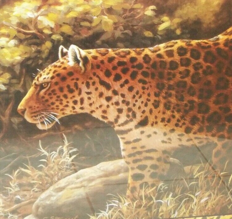 Home Interiors SAFARI LEOPARD CHEETAH By C.S. FOREST 33