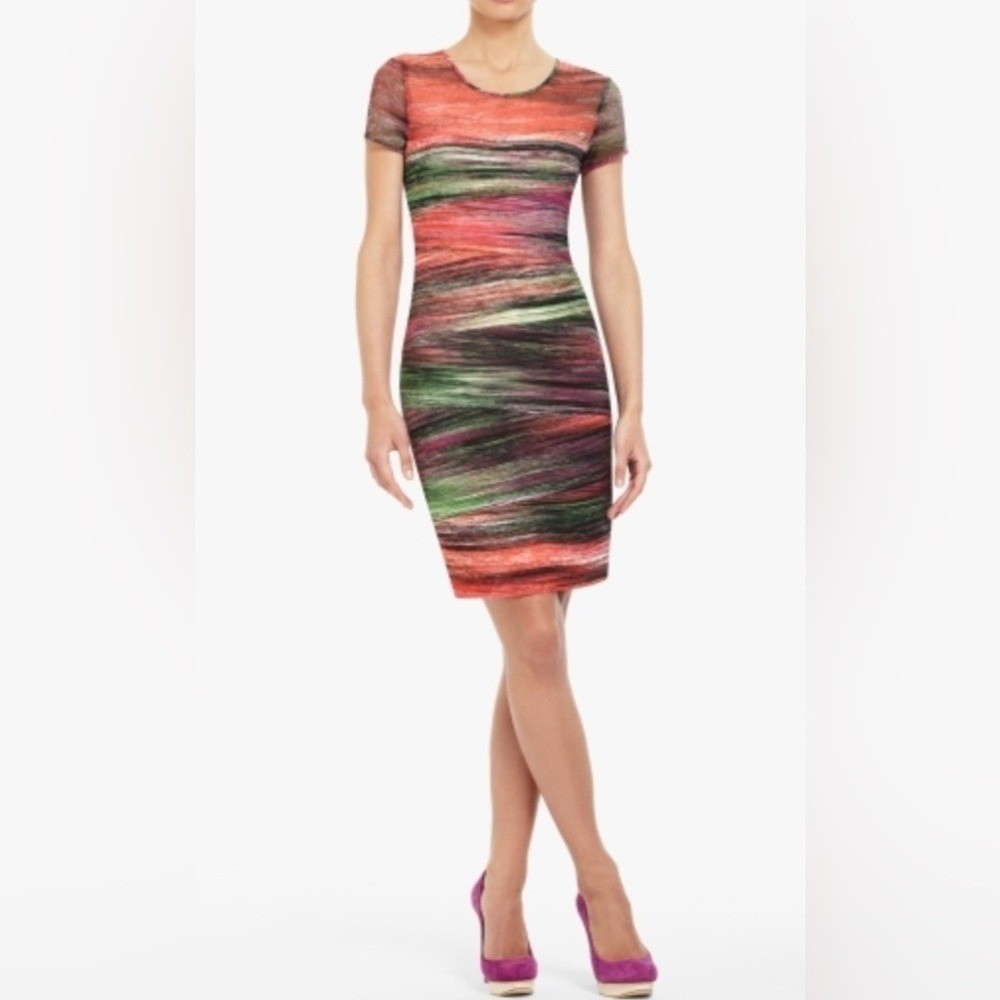 BCBG MaxAzria Donna Abstract Print Mesh Sheath Dress S Bodycon