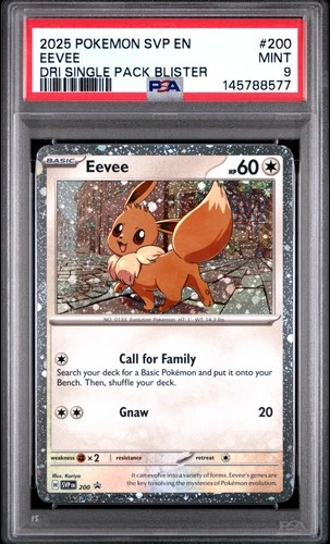 2025 POKEMON SVP DESTINED RIVALS SINGLE PACK BLISTER PROMO #200 EEVEE PSA 9