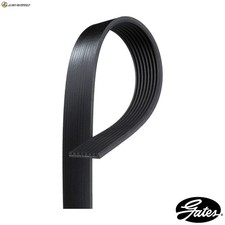 KEILRIPPENRIEMEN 8PK1162EST F�R BMW 3/4/Convertible/G2/G21/G81/G20/G80/X/SAV/5