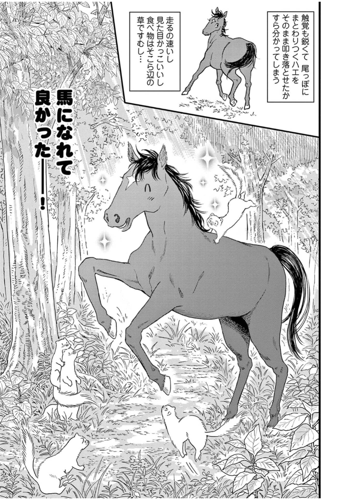 Japanese Yaoi Bl Manga Comic Book Narita Nomoto 性悪暴君騎手と流され戦馬 Ebay