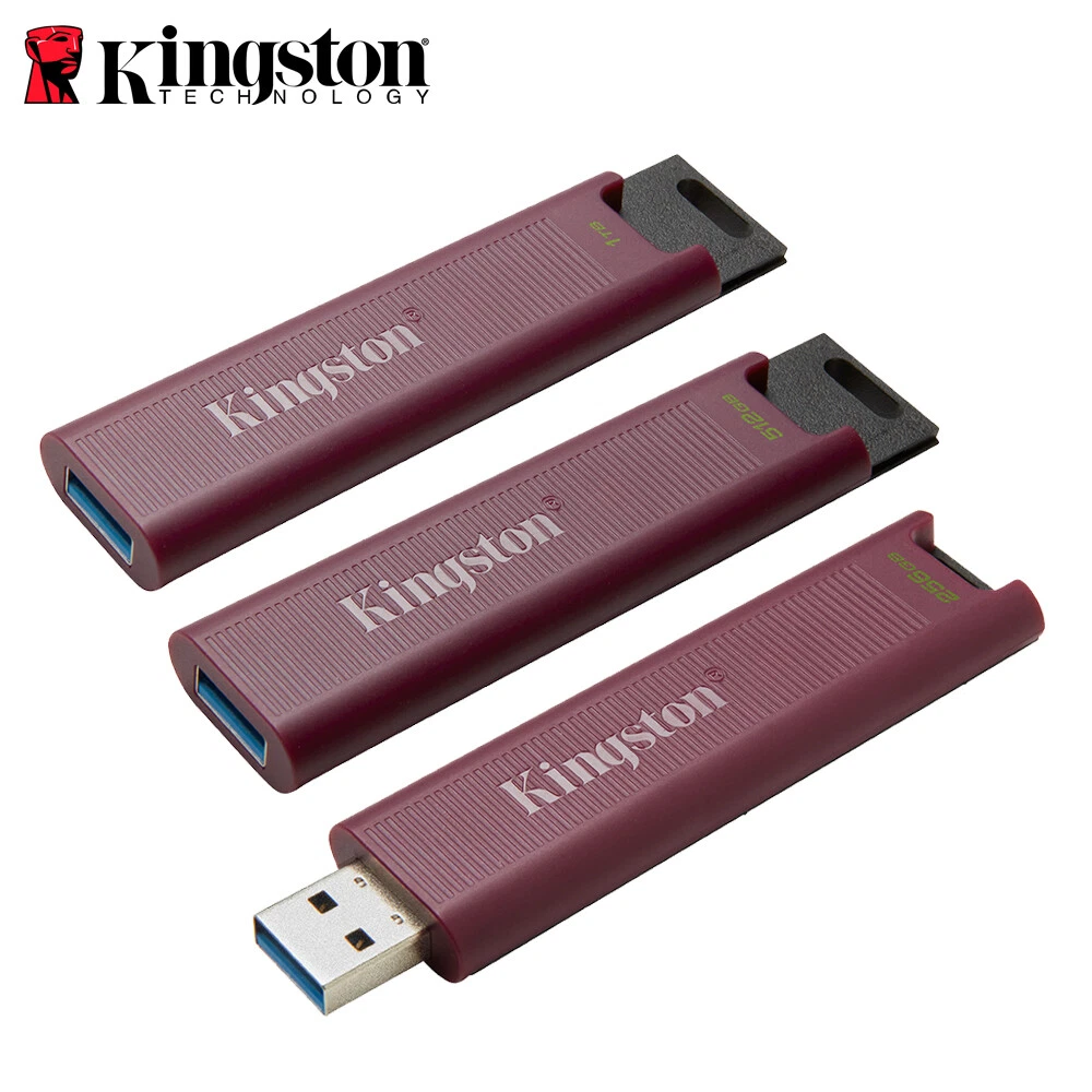 Kingston DataTraveler Max - 1To - USB 3.2 Gen 2 Clés USB Type-A - Jusqu'à 1  000 Mo/s en lecture, 900 Mo/s en écriture : : Informatique