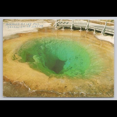 Vintage Postcard Morning Glory Pool Yellowstone National Park Unposted Historic