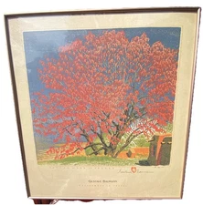 Gustave Baumann : Cottonwood Tassel Art Print