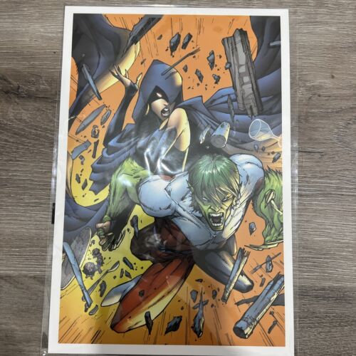 Culturefly World's Finest The Collection Raven and Beast Boy print Titans box DC - Picture 1 of 2
