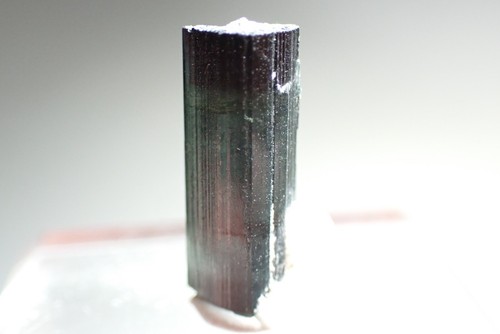 ELBAITE - FOITITE * TURMALINA BICOLOR * ¡LOCALIDAD RARA! Alto da Cabeca, BRASIL - Imagen 16 de 22