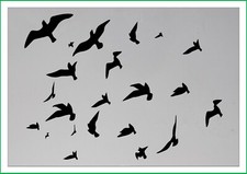 Bird flock - birds flying mylar stencil, 190 micron reusuable flexible stencil