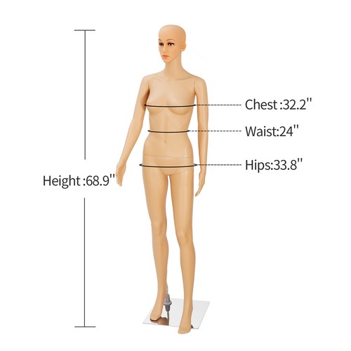 PP Head Turns Dress Form with Base Female Mannequin Realistic Display Full Body - Picture 10 of 22