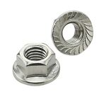 <!--F#f_0-->M10 Flange Nuts Flanged Serrated Hex Nut Stainless Steel 304 Lock Metric SS 10x<!--F/-->