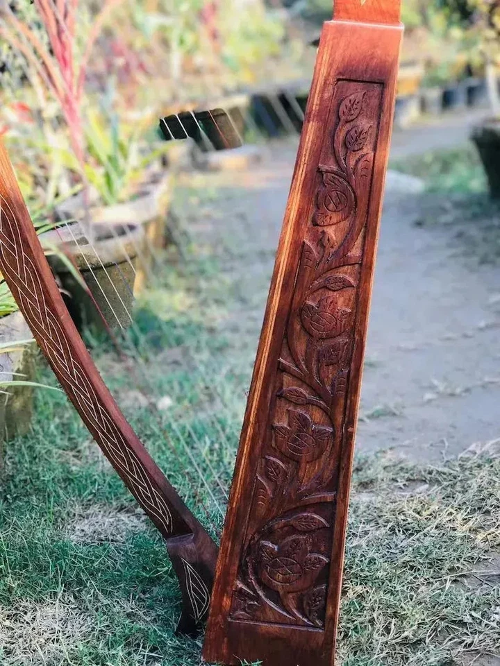 Arpa de 22 cuerdas PANDRO DE ROSA MACIZO cuerdas adicionales y estuche de transporte ideal para adolescentes Foto 3 de 4