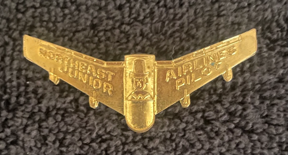 デルタ航空　機長用　コレクター　ピンバッジ　ゴールド　本物　貴重 Badges & Pin Delta Airlines Collectibles for sale | eBay