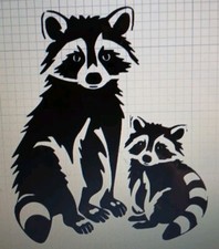 Raccoon Decal