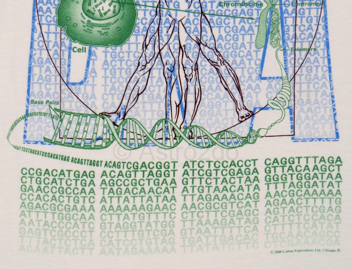 洋書 Biotechnology and the Human Genome 洋書 Biotechnology and the Human Genome 洋書 Biotechnology
