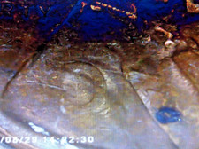  on The Hot Collector