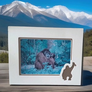 Pongo Pygmaeus Orangutan Picture "Wise Old Man Of The Woods" 1996