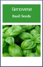 Genovese Basil Seeds: Fresh Heirloom, Non-GMO Garden Seeds