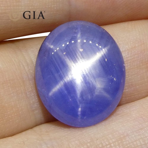 17.72ct Oval Double Cabochon Blue Star Sapphire GIA Certified Sri Lanka Unheated - Picture 4 of 16