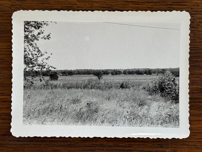 Rural Landscape 1960s Snapshot Photograph Kodak Velox Paper Deckle Edge
