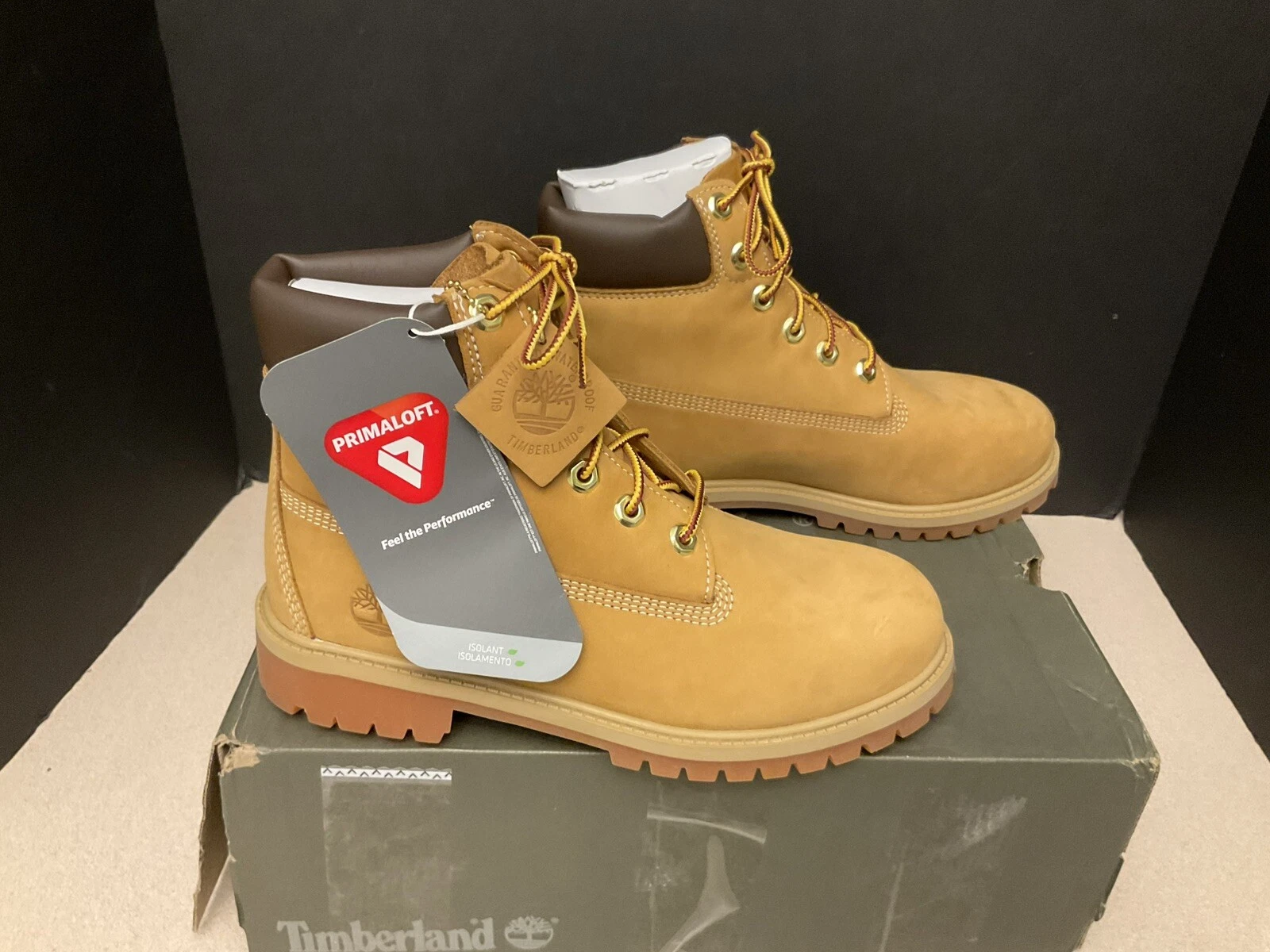 Nuovo! Stivali Timberland da 6 pollici premium impermeabili in nabuk di grano per ragazzi. TG 6 larghezza.