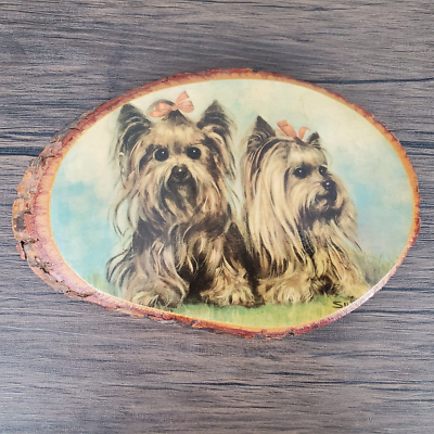 Dog Clothes Smoky Mountain Yorkies Smoky The Brave How A Feisty