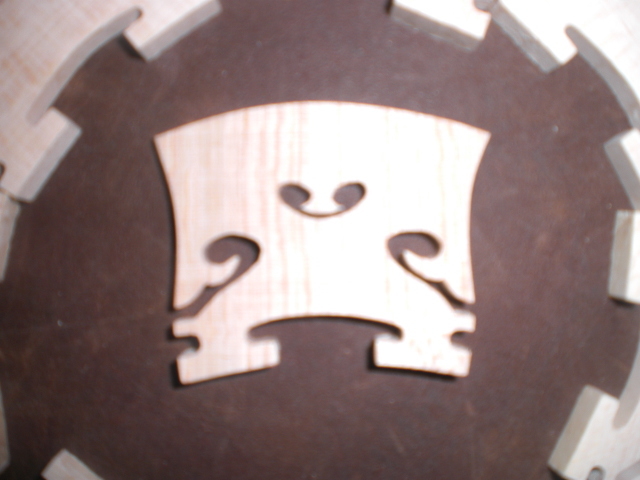 Picture 5 of 5