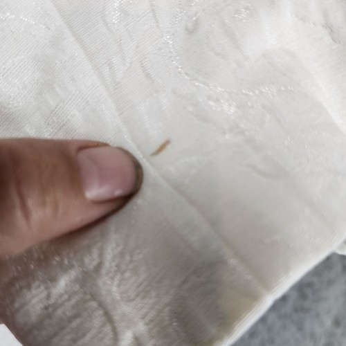Isabella 2 Piezas Traje Mujer 12 Crema Manga Larga Chaqueta Falda *Leer* - Imagen 9 de 17