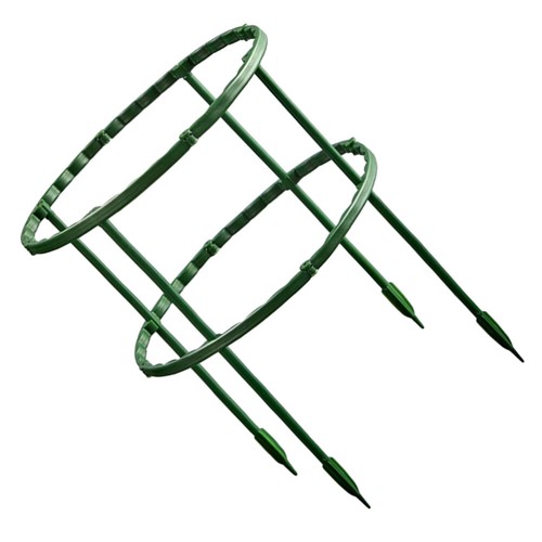 Climbing Vine Stand Garden Plants Support Stakes Metal Flower Frame Trellis - Picture 3 of 12
