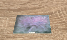 HeroQuest Hero Quest Original Ersatzteil Morcars Magier Schattenenversteck TOP