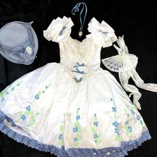 Marie Antoinette Costume Halloween dress gown womens size S 4 6 rococo Upcycled