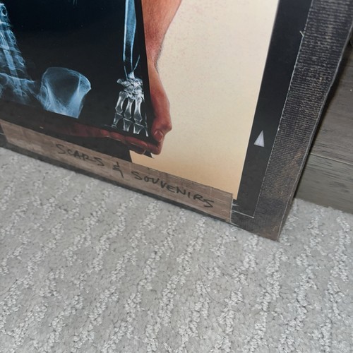 NEW Theory of A Deadman VINYL Scars & Souvenirs Shinedown Nickelback Seether - Picture 6 of 10