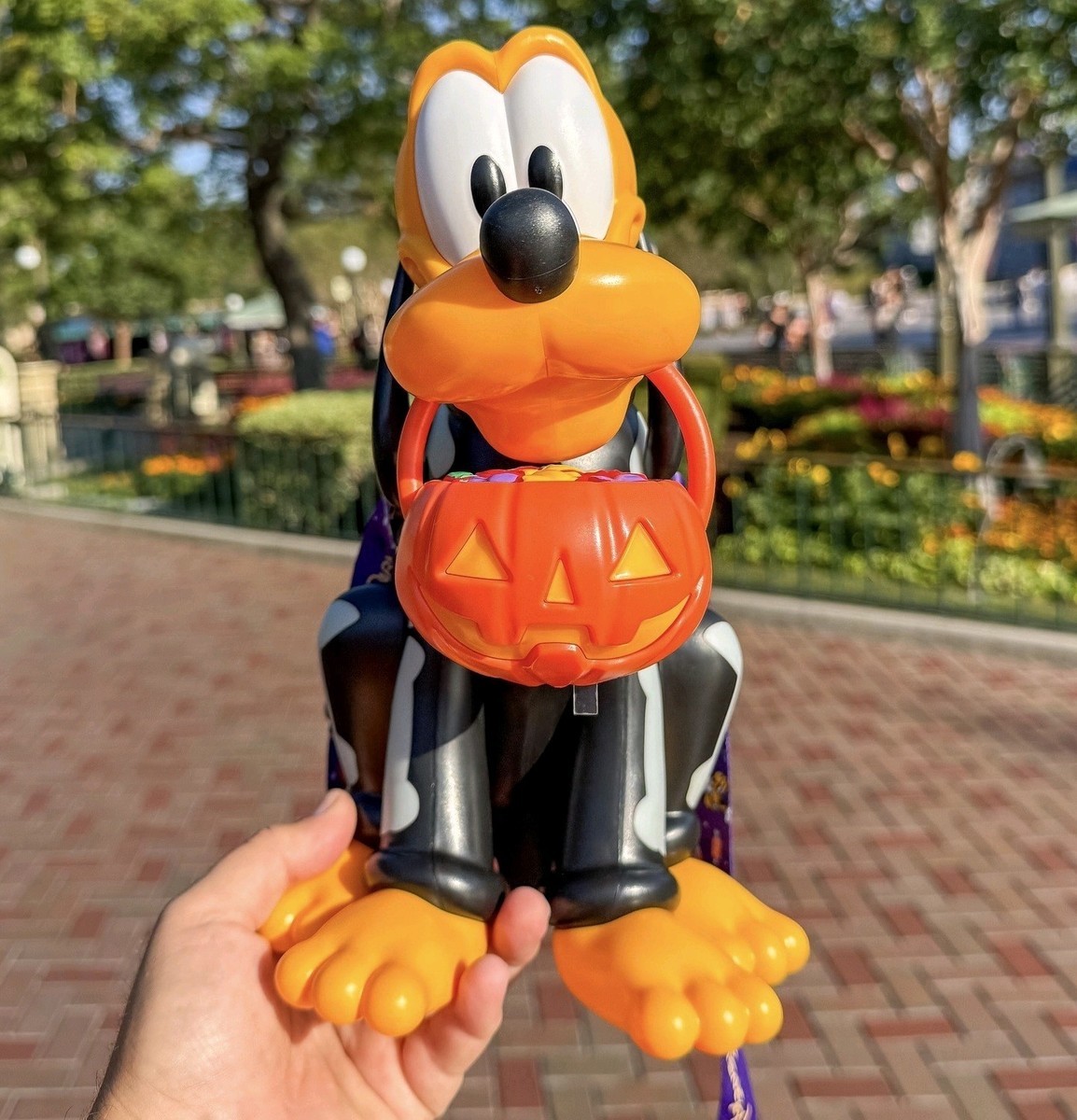 ハロウィン限定】スケルトンプルート シッパー【カリフォルニア