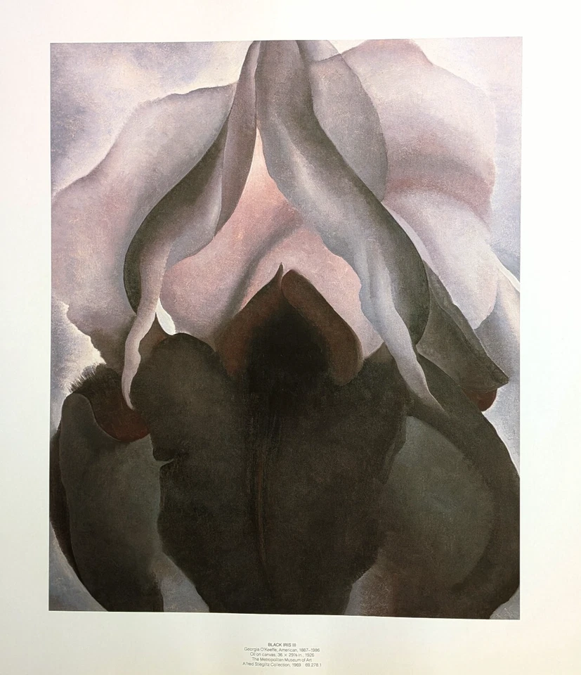 Georgia O' Keeffe IRIS NEGRO Portafolio Impresión Floral Abstracción Arte Botánico Foto 2 de 4