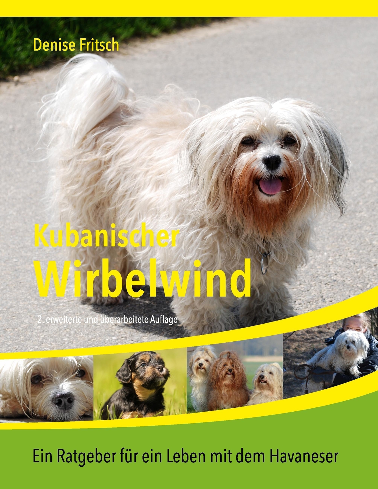Thumbnail - Denise Fritsch | Kubanischer Wirbelwind | Taschenbuch | Deutsch (2016)