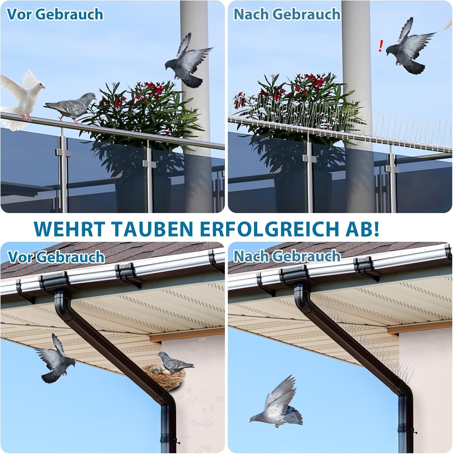 Bild 6 von 14