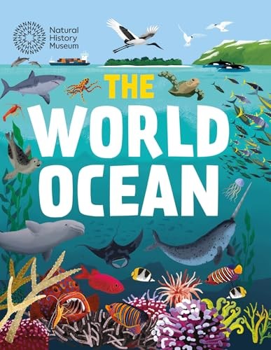 The World Ocean by Publishers Wayland - HB - 2025 - Image 4