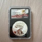 U.S. Mint 2019 American Eagle Enhanced Reverse Proof 1 oz Silver NGC PF 70