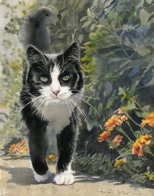 Tuxedo Cat  Art Painting  PRINT Watercolor Portrait 