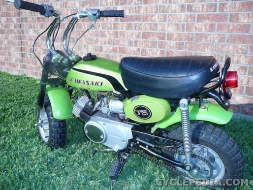 CUBIERTA PUNTOS CROMADOS KAWASAKI MT1 KV75 KE100 G3SS G3TR G5 14027-007 Foto 2 de 4