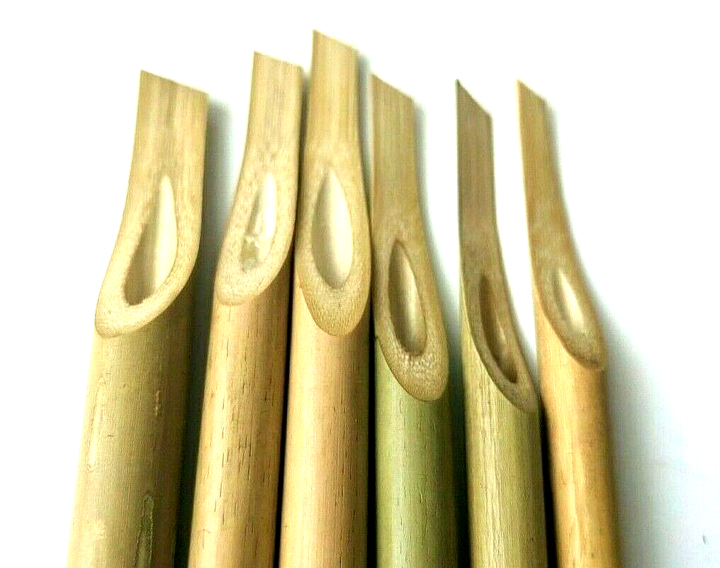 6 Pcs Handmade Bamboo Reed Pen For Calligraphy Writing (Arabic & Farsi