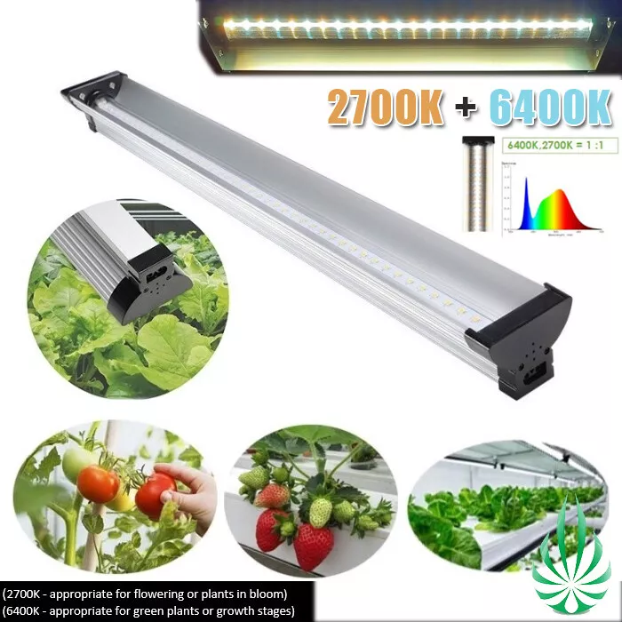 2700k led grow light outlet