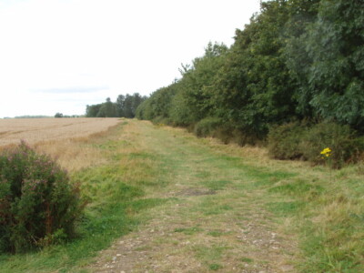 Foto 6x4 reifer Weizen erntereif, Podington Die Karte zeigt einen Bach r c2007