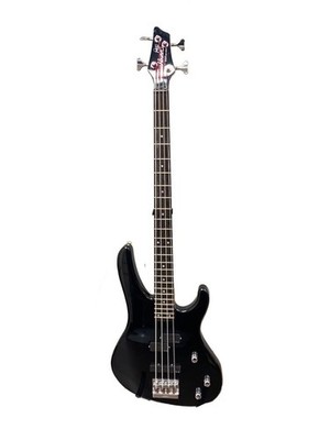Washburn Pb-1250/Electric Bass/Soft Case Included/Black/Pat Badger Signature Mod