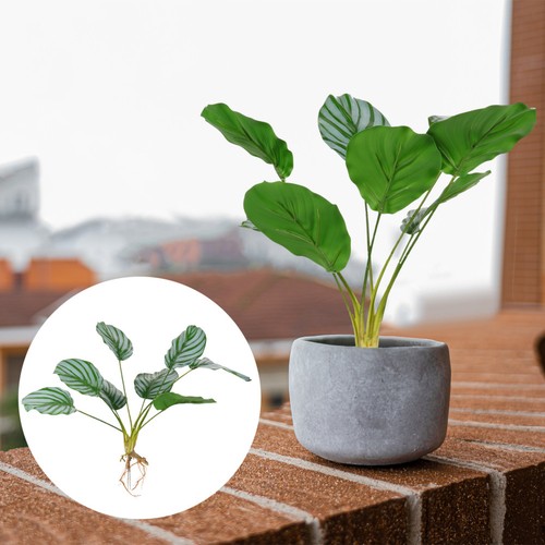 1 szt. Sztuczna roślina Calathea Bonsai Kreatywna roślina Bonsai Roślina doniczkowa - Zdjęcie 4 z 16