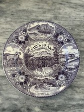 Vintage Pikes Peak Colorado Souvenir Plate Staffordshire Purple & White 10"