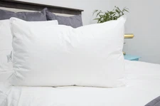 IHG Featherbest QUEEN SOFT Pillow Featured at IHG Hotels FREE PILLOWCASE