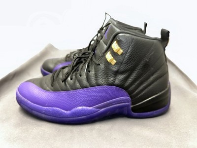 NIKE CT8013-057 Air Air Jordan 12 Retro Field Purple Size 12.5. Great Condition