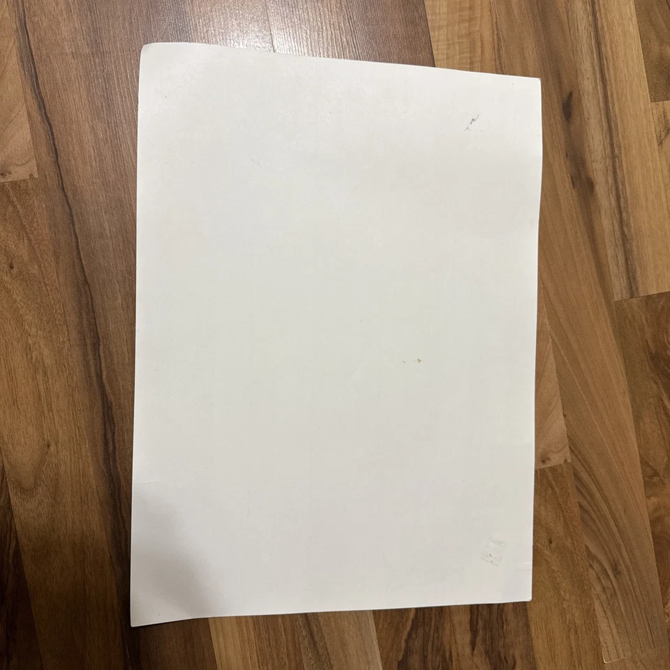 Vintage 1590 World Map Print by Abraham Ortelius 21 1/2" x 19 1/2" - Image 4 of 4