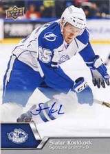 2014-15 Upper Deck AHL Hockey Cards 21