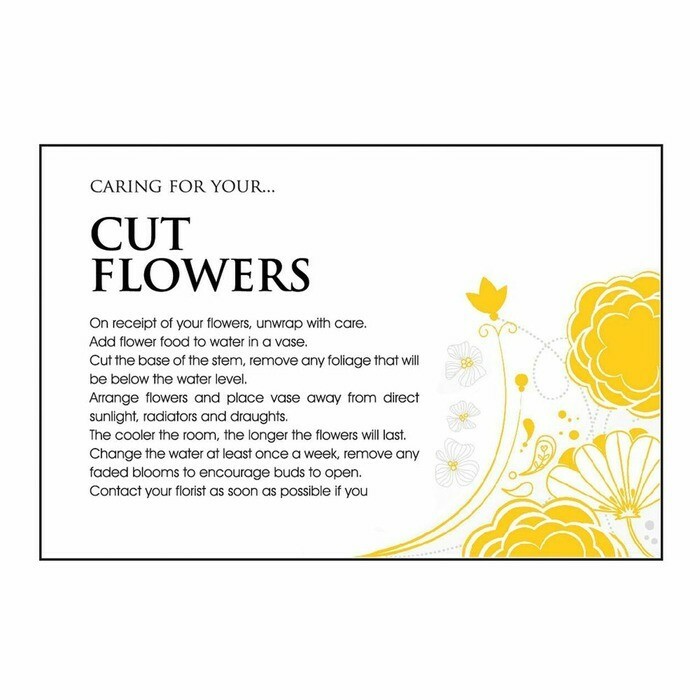 Oasis® Care Card Flower Cut Flowers x100
