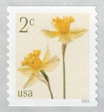 2024 2c Daffodils, Coil Single Scott 5903 Mint F/VF NH